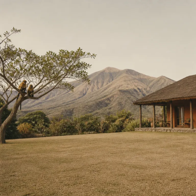 Mgahinga's golden monkeys and the lodge that watches them from the garden: a case for Uganda's smallest, quietest national park