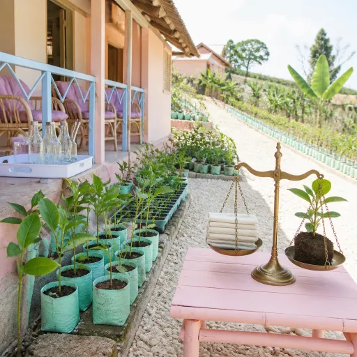 The plastic-free lodge, the reforestation pledge and the community wage audit: a critical look at Uganda's green claims