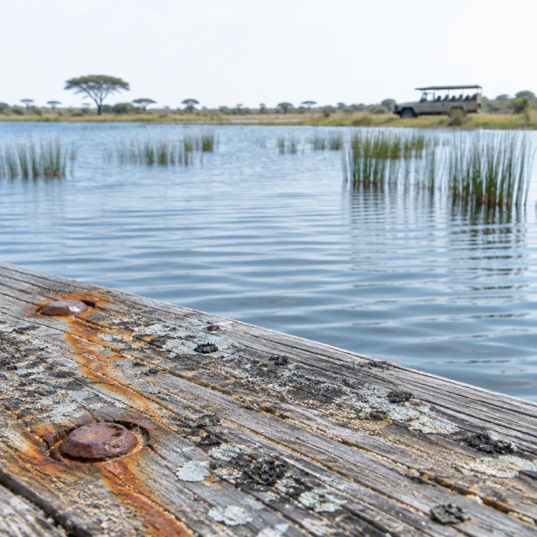 Lake Mburo, the park Uganda's itineraries skip: safe walking, night drives and the family case for the smaller reserve